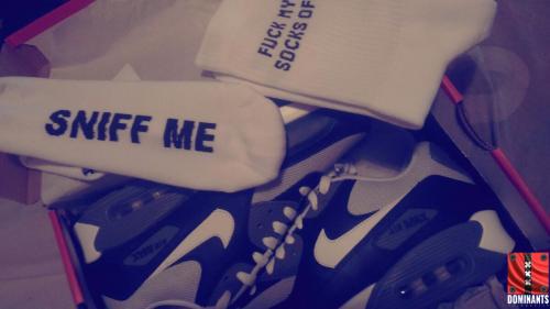 ^AE8DE4D2A6E6D2BD05300AE6BEEAFA5BDC80B5AF2FC1FD7928^pimgpsh_fullsize_distr