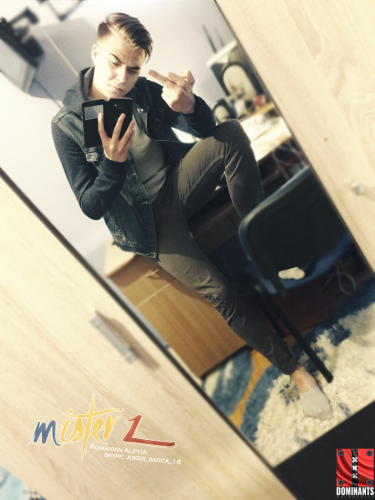 mister Z 2