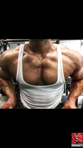 MuscleGodKay 3