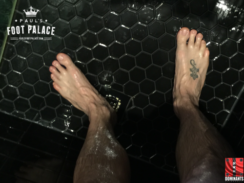 Go ahead and admire perfection