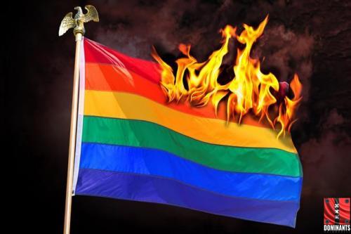 LGBT-flag-burning