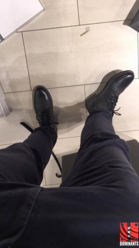 15146708_1498900516794069_648307952_o