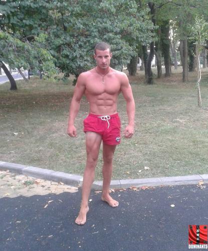 13895130_612717158888209_7527105838087016614_n