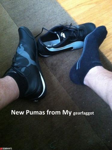 Pumas from gearfaggot