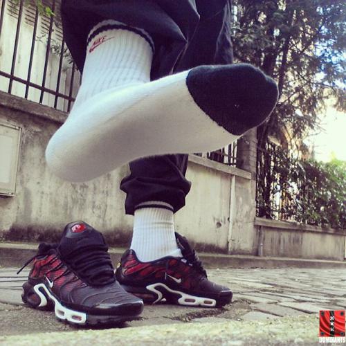 12950373_1609395922715303_77444070_n