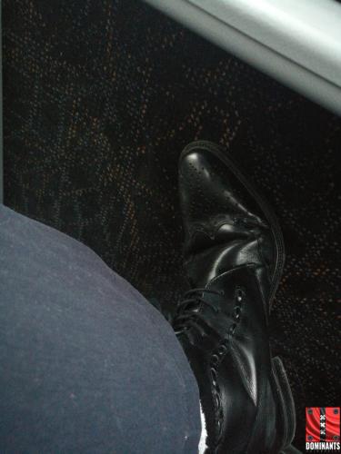 15175647952301460960530