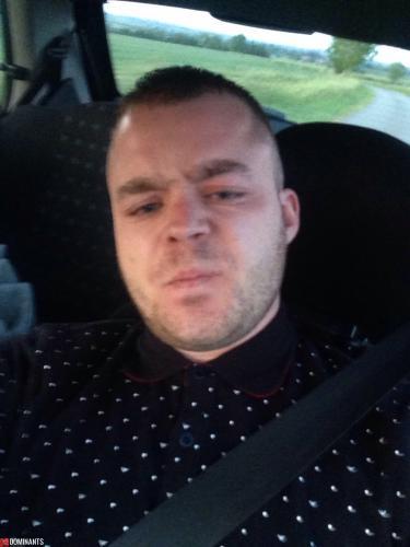 186CF57E8163676828F98BF05B50429663696040E498389547pimgpsh_fullsize_distr