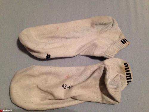 11198485_817349801684843_1268654793_n