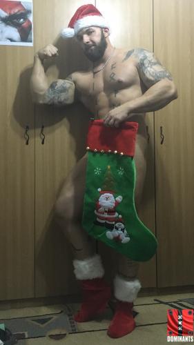 xmaspower