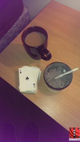 IMAG0442