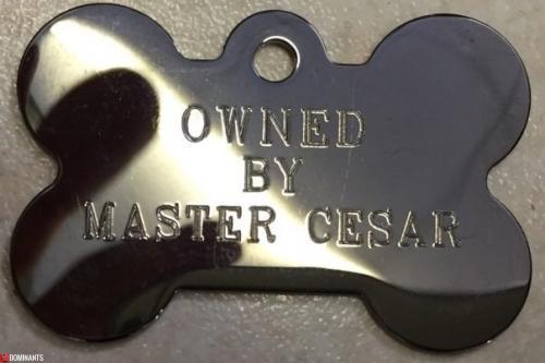 dogtag