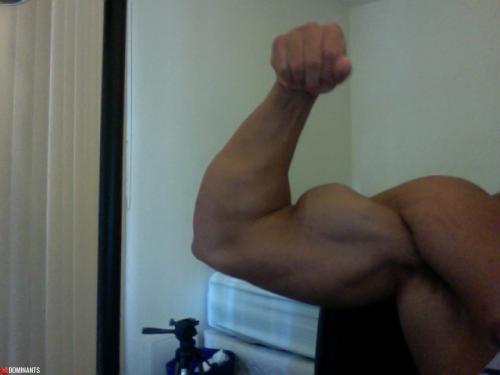 Photo 61