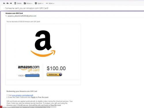 amazon100
