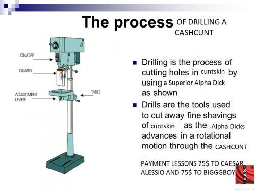 Drilling QueerCunt