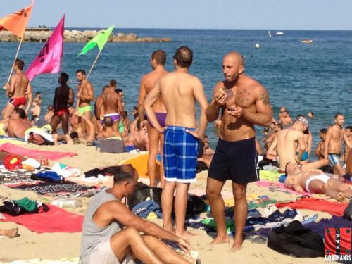 277817_10151171633018478_1225705311_o