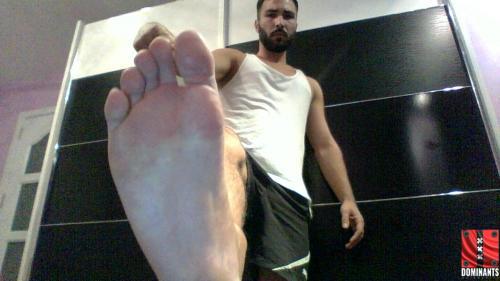 WIN_20170824_03_43_13_Pro