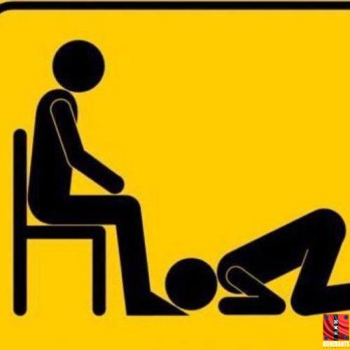 11245522_1405944369732279_7203180235183755281_n