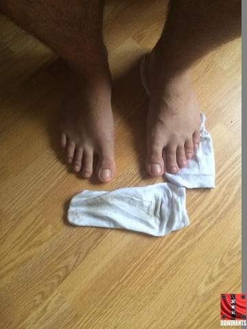 alpha feets faggys