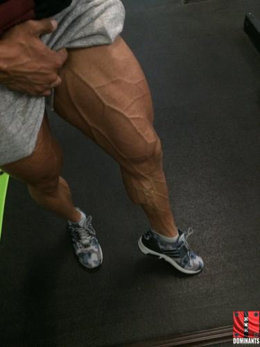 12494668_508060789368821_4736858575913355310_n