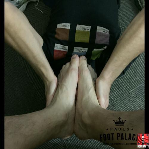 Right where you belong