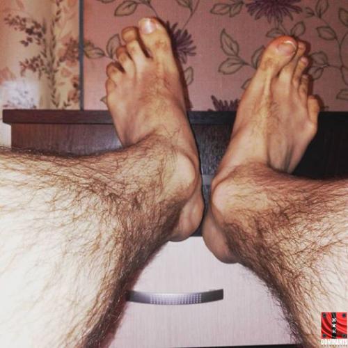 13043645_165700507158451_5058639284059498286_n