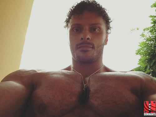 13533163_509826135888034_8478957688851052934_n