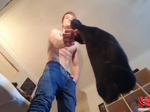 SNIFF MASTERS SOCKS YOU FUCKING LOWLIFE