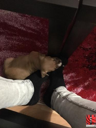 14741741_1458142007536587_1481571350_n