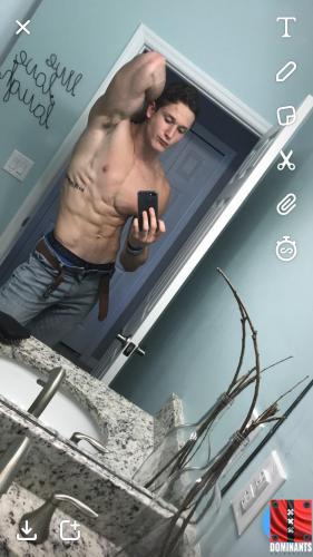 shreddez