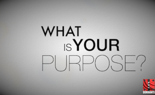 your puspose is to serve