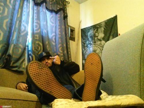 lick the trash off the bottom of my shoes, faggots.