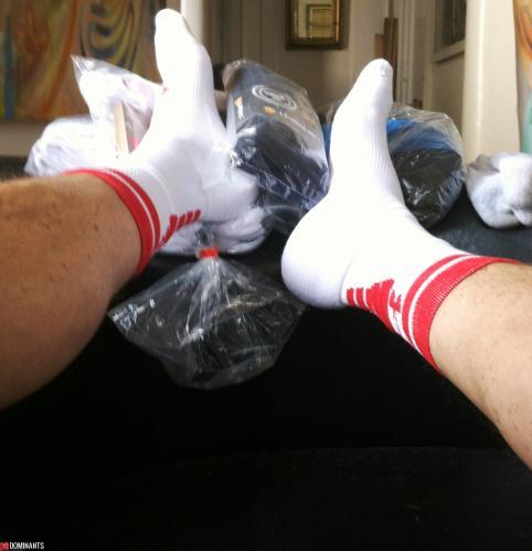 gearfaggot buys$ all MY SOX