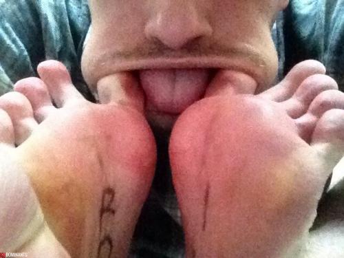 ^8E2EFEFE904025F8ACF3A89638B4DE151F17810ED4CEAC2915^pimgpsh_fullsize_distr