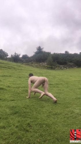 FIELD PUP