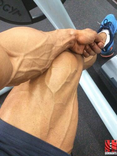 1936495_508055269369373_4366467771241053209_n