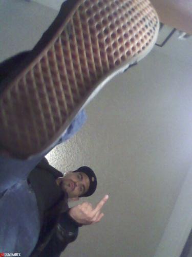 smashing fags all day