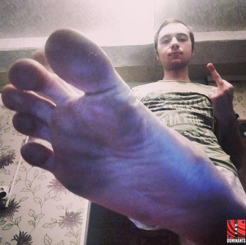 14937288_276642576064243_698002660262738088_n