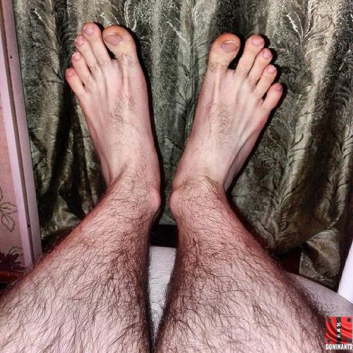 12998630_163837570678078_2496453513930178642_n