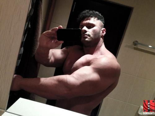 1979579_309580352579281_4627751588281707454_n