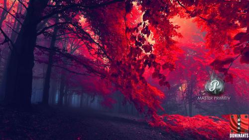 red-forest-wallpaper-323