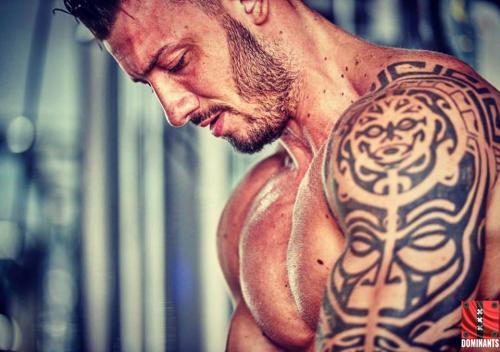 13087333_1593038804356768_7710784371149123392_n