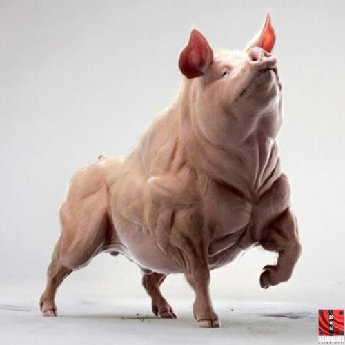 IMG_20170210_194507_169