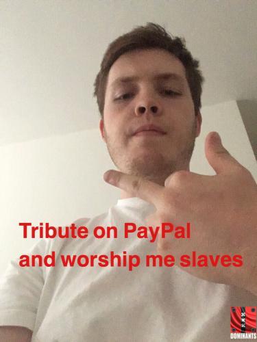 ^48B97707C8BE6E8A4028AEA29AA4B2A47E88E60D2F3A879D44^pimgpsh_fullsize_distr