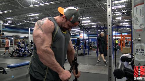 Chris Hill Biceps and Trieps Tricep Rope