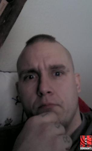 orca-image-1483824354161.jpg_1483824405746