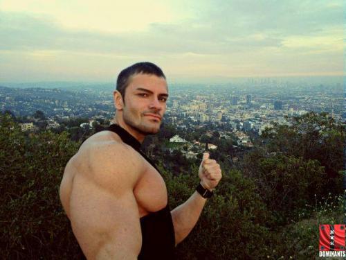 540581_260616790742274_1063780716_n