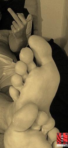 Picture 141