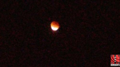 December 14, 2016