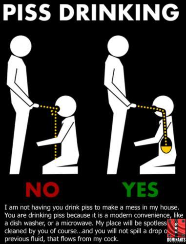 Screenshot_20170512-185600