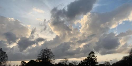 June 1, 2019